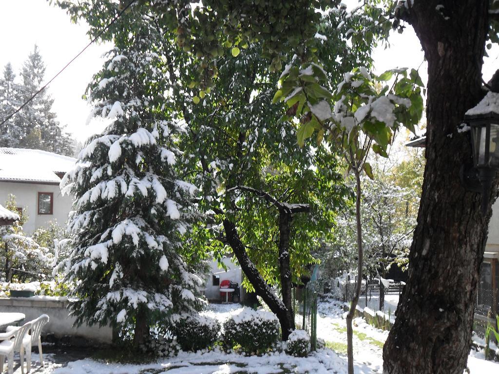 Borimechkova Kashta Hotel Koprivstica Kültér fotó